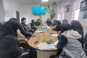 برگزاری کمیته پیشگیری از عوارض بارداری در شبکه بهداشت و درمان بیضا