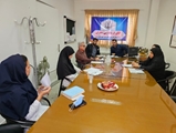 برگزاری نشست توسعه کلینیک دیابت و پیگیری بیماران دیابتی در بیمارستان قمر بنی هاشم (ع) شهرستان بیضا