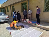 اجرای عملیات ضربتی جونده‌کشی در شهرستان بیضا؛ گامی استوار برای قطع زنجیره انتقال بیماری سالک