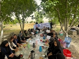 ضیافت سلامت در طبیعت کوشک هزار؛ برپایی سفره صبحانه سالم به همت بهورزان، سفیران و رابطین سلامت